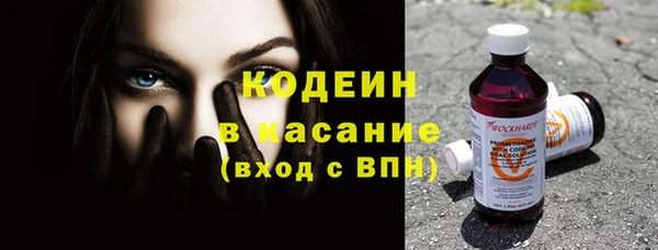 шишки Верхний Тагил