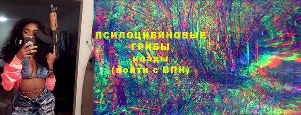 гашик Бронницы
