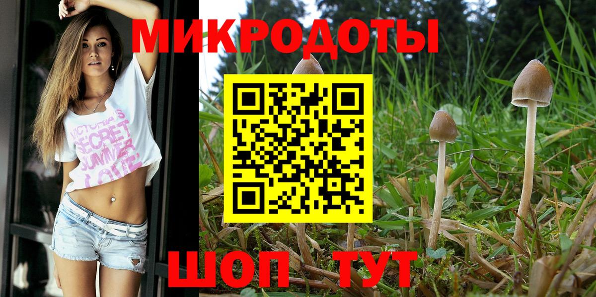 Галлюциногенные грибы Magic Shrooms Нерюнгри