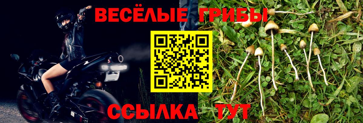 Нерюнгри  продажа наркотиков  Вход с VPN  Галлюциногенные грибы ЛСД 